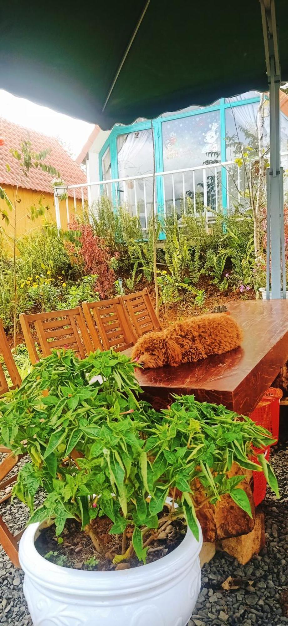 Paradiso Homestay Mangden Kon Von Kla Exterior foto